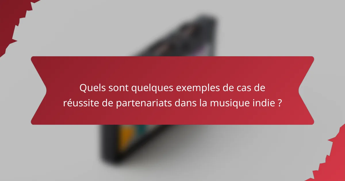 Quels sont quelques exemples de cas de réussite de partenariats dans la musique indie ?